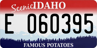 ID license plate E060395