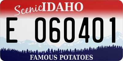 ID license plate E060401