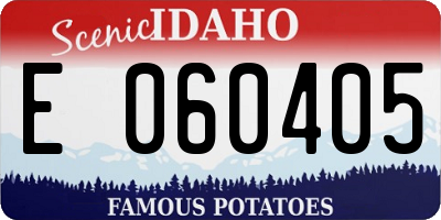 ID license plate E060405