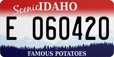 ID license plate E060420