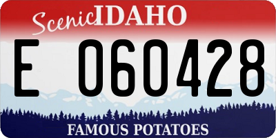 ID license plate E060428