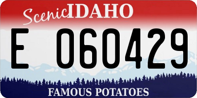 ID license plate E060429