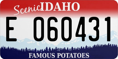 ID license plate E060431