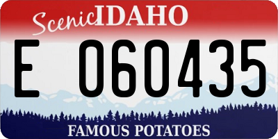 ID license plate E060435