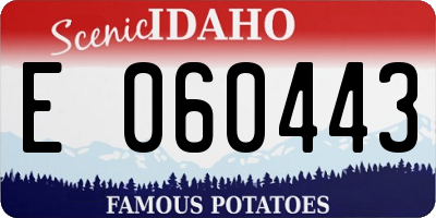 ID license plate E060443