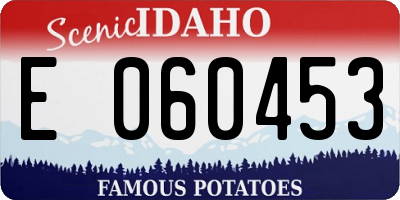 ID license plate E060453