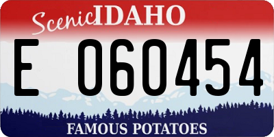 ID license plate E060454