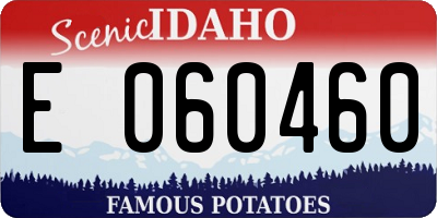 ID license plate E060460