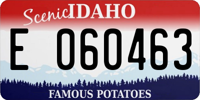 ID license plate E060463