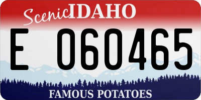 ID license plate E060465