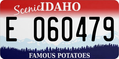 ID license plate E060479