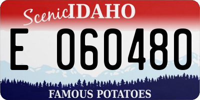 ID license plate E060480