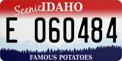 ID license plate E060484