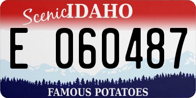 ID license plate E060487