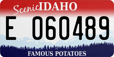 ID license plate E060489