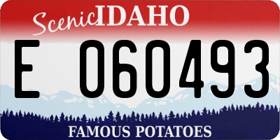 ID license plate E060493