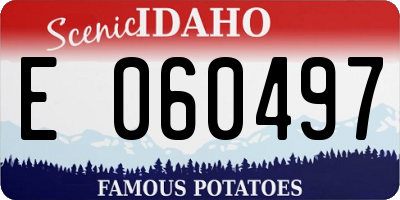 ID license plate E060497