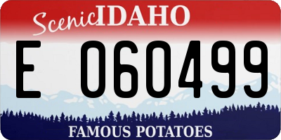 ID license plate E060499