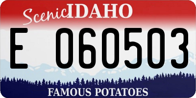 ID license plate E060503