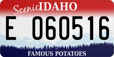 ID license plate E060516