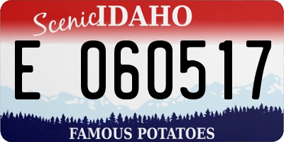 ID license plate E060517
