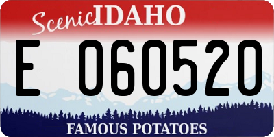 ID license plate E060520