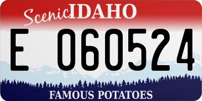 ID license plate E060524