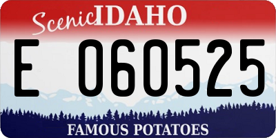 ID license plate E060525