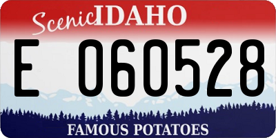 ID license plate E060528