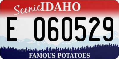 ID license plate E060529