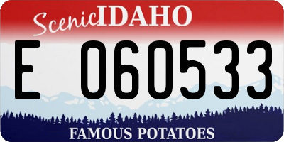 ID license plate E060533