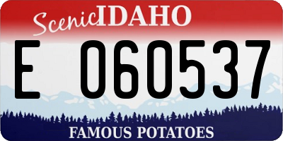 ID license plate E060537