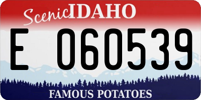 ID license plate E060539