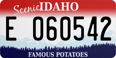 ID license plate E060542