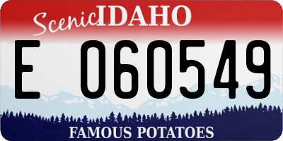 ID license plate E060549