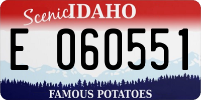 ID license plate E060551