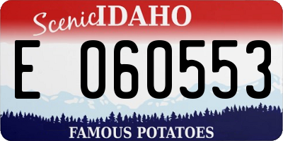 ID license plate E060553