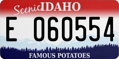 ID license plate E060554