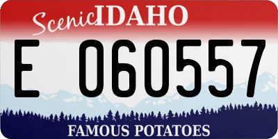 ID license plate E060557
