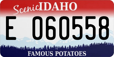 ID license plate E060558