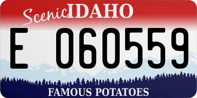 ID license plate E060559