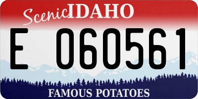 ID license plate E060561