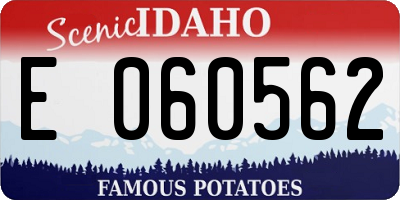 ID license plate E060562