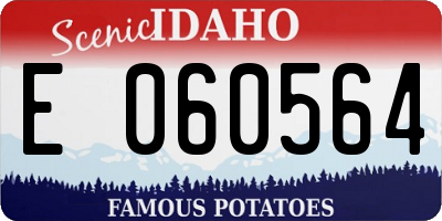 ID license plate E060564