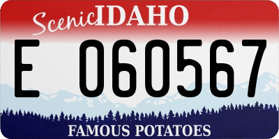 ID license plate E060567