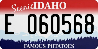 ID license plate E060568