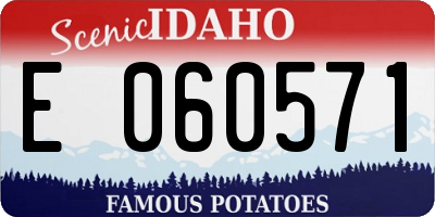 ID license plate E060571
