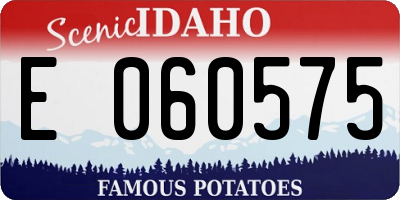 ID license plate E060575