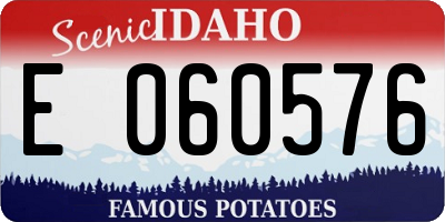 ID license plate E060576