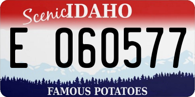 ID license plate E060577